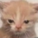 grompy static emote