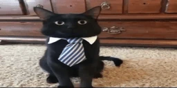 SOSAL emote
