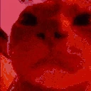 catRave emote