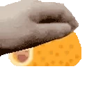 PETTHETACO emote