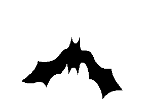 black_bat emote