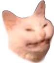 cringecat emote
