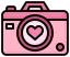 PinkCamera emote