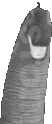 tauntApat emoji