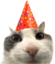 PartyCat emote