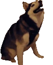 METAL emote