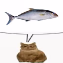 catsittingandthinkingaboutasingularfish emote