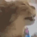 catTalk emote
