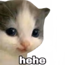 hehe emote