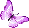 magentabutterfly emote