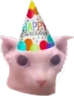 bingusbirthday emote