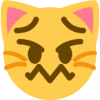 weird_feeling_cat emote