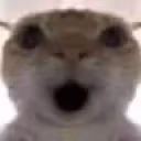 HOLYMOLY emote