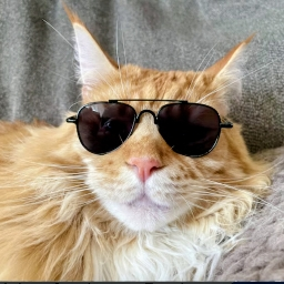 zander12658 avatar