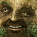 treE emote