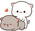 CatSlap emote