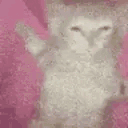 chilling animated emote