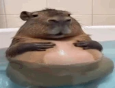 fatassbellyrub emote