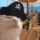 pirateCatJAM emote