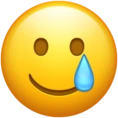 Smiling_Face_with_Tear emote