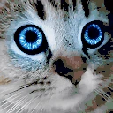 meow emote