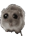 ohver emote