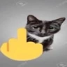 catmiddlefinger emote