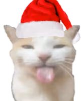 Christmas2022_BLEHHHHH_Cat emote