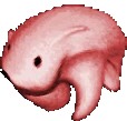 bearRun emote