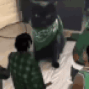 gangshit animated emote