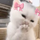 hihihihi emote