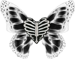 skull_butterfly emote