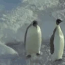 Slap emote