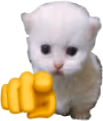 youpert emote
