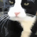 MLEM emote
