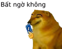 CheemsReverse emote