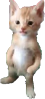 Michael emote