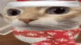 uuh emote