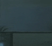 CuriousSonar emote