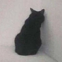 sulking emote