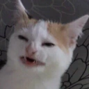 NoBanana emote