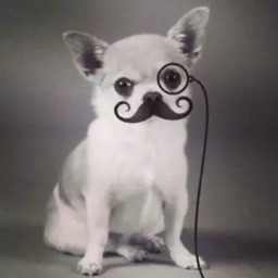 sufka avatar
