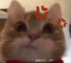 Hmph emote