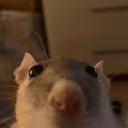 alfonso emote