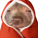 creatureCozy emote