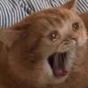 CE_SCREAMMMMMM2 emote