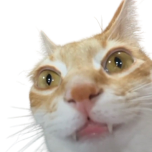 snusc avatar