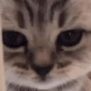 Sleepy emote