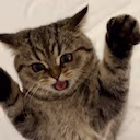 ror emote