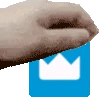 PETTHEPRIMER emote